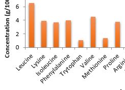 Amino acid profile